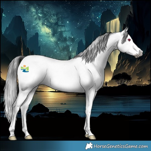 Horse Color:Gray Platinum Buckskin Chinchilla Splash Rabicano 