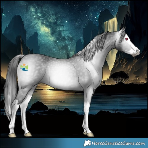 Horse Color:Gray Platinum Bay Chinchilla Splash Rabicano 