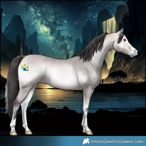 Horse Color:Platinum Buckskin Onyx 
