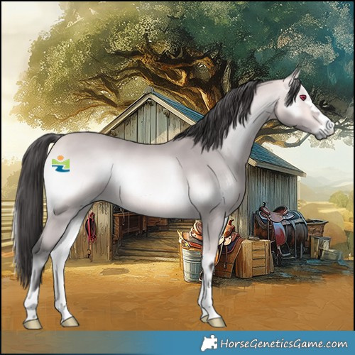 Horse Color:Platinum Buckskin Onyx 