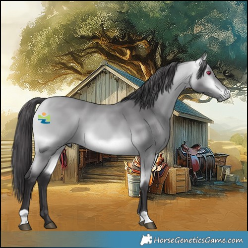 Horse Color:Platinum Buckskin Chinchilla 