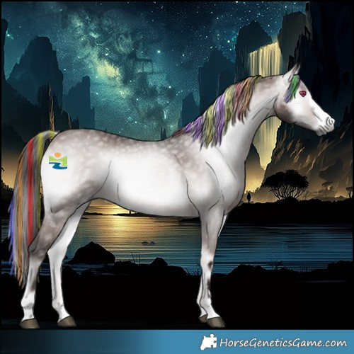 Horse Color:Gray Platinum Painted Bay Onyx 