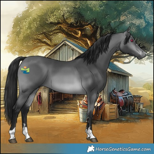 Horse Color:Gray Platinum Bay Chinchilla