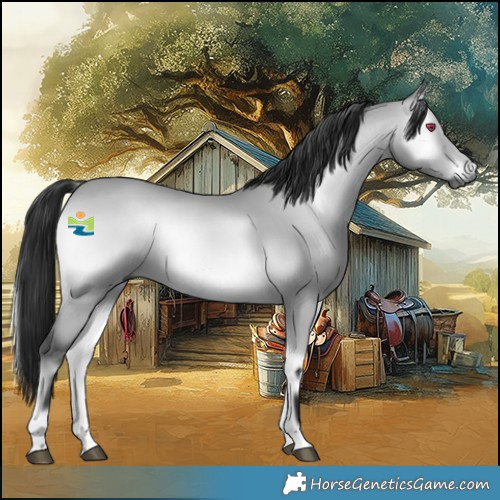 Horse Color:Gray Platinum Bay Chinchilla Onyx Rabicano 