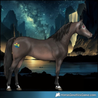 Horse Color:Gray Platinum Bay 