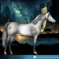 Horse Color:Gray Platinum Bay 