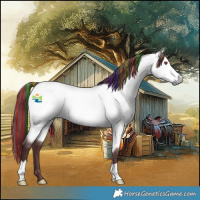Horse Color:Painted Chocolate Buckskin Chinchilla