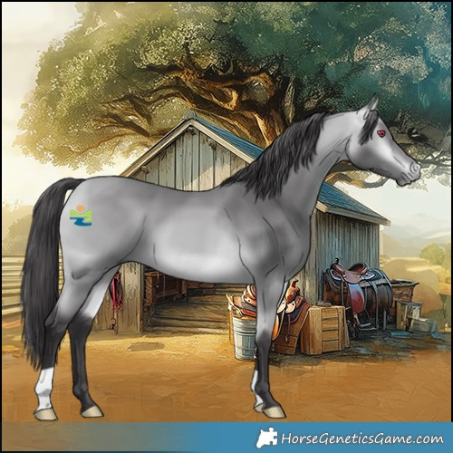 Horse Color:Buckskin Chinchilla 