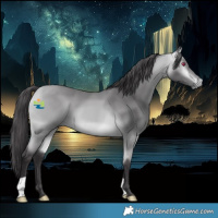 Horse Color:Buckskin Chinchilla 