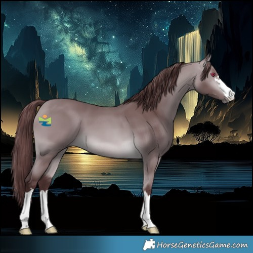 Horse Color:Chocolate Bay Chinchilla