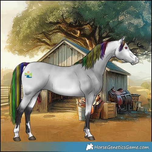 Horse Color:Painted Buckskin Chinchilla 