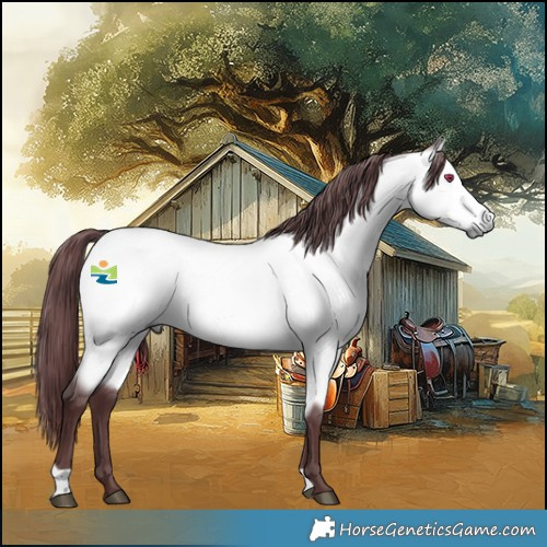 Horse Color:Chocolate Buckskin Chinchilla 