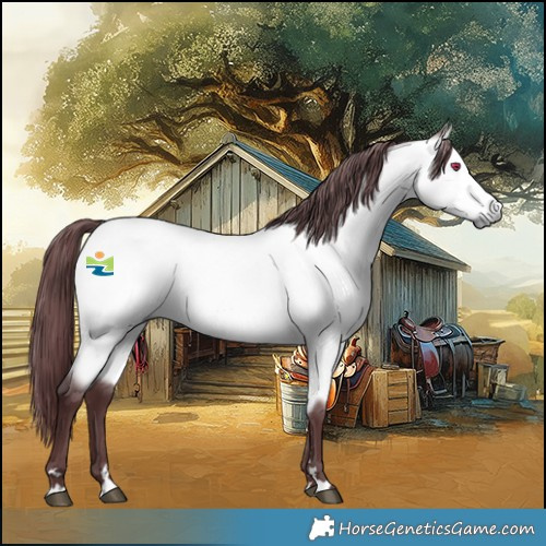 Horse Color:Chocolate Buckskin Chinchilla