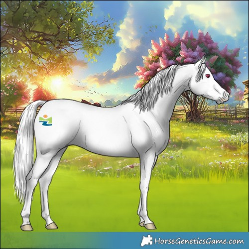 Horse Color:Platinum Red Onyx Chinchilla