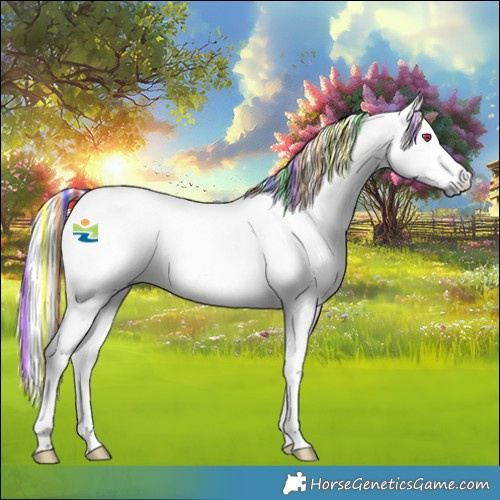 Horse Color:Platinum Painted White Spotted Red Dun Chinchilla 