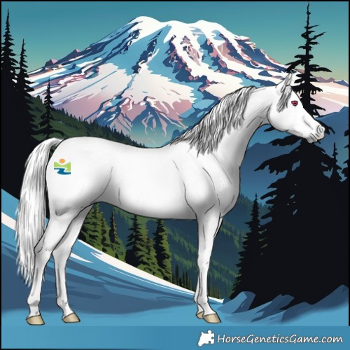 Horse Color:Platinum Palomino Chinchilla Dun