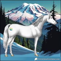 Horse Color:Platinum Palomino Chinchilla Dun 
