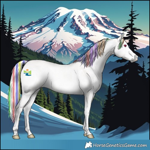 Horse Color:Platinum Painted White Spotted Palomino Onyx Rabicano 