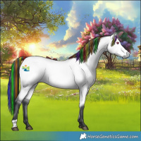 Horse Color:Platinum Painted Bay Chinchilla Dun Rabicano