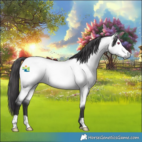 Horse Color:Platinum Buckskin Chinchilla Dun 