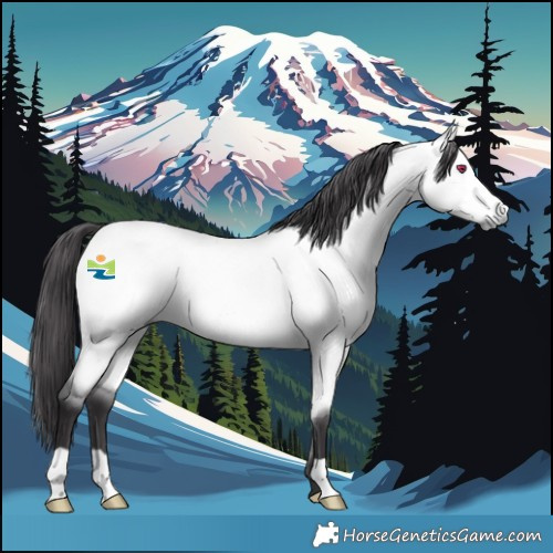 Horse Color:Platinum Buckskin Chinchilla Dun 