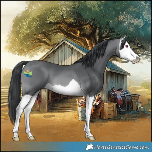 Horse Color:Brown Chinchilla Splash 