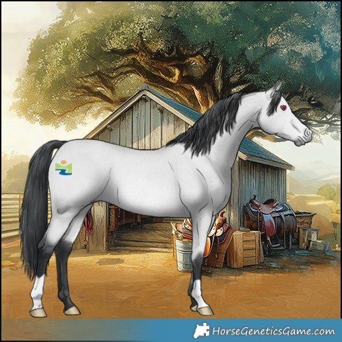 Horse Color:Platinum Bay Chinchilla Rabicano 