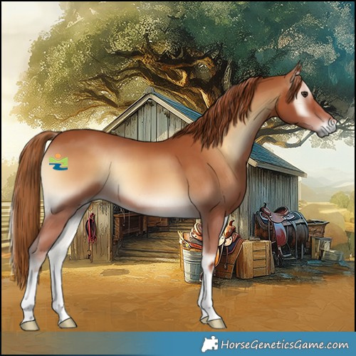 Horse Color:Red Onyx 