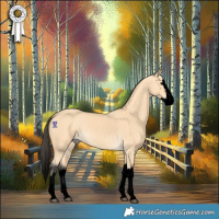 Horse Color:Void Buckskin Splash