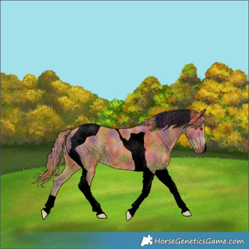 Horse Color:Void Nacre Chestnut Tobiano 