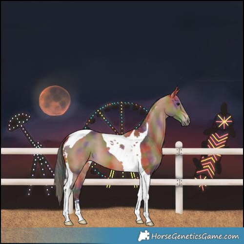 Horse Color:Nacre Bay Tobiano 