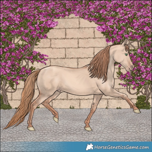 Horse Color:Gold Champagne Dun 