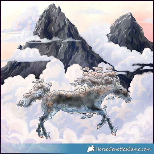 Horse Color:Void Bay Roan Splash Frame Rabicano