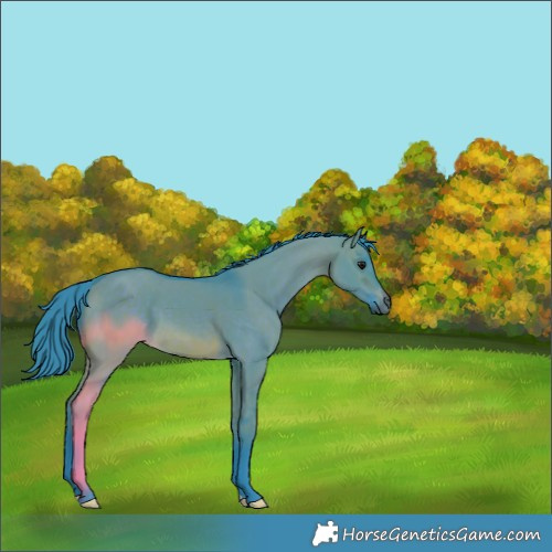 Horse Color:Watercolor Brown Dun 