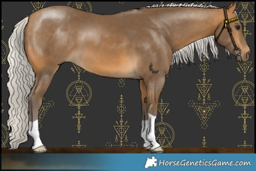 Horse Color:Silver Buckskin 