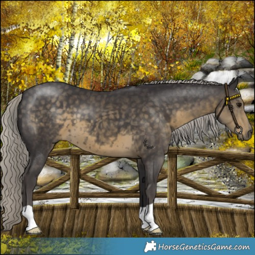Horse Color:Silver Smoky Black 