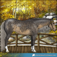 Horse Color:Silver Smoky Black 