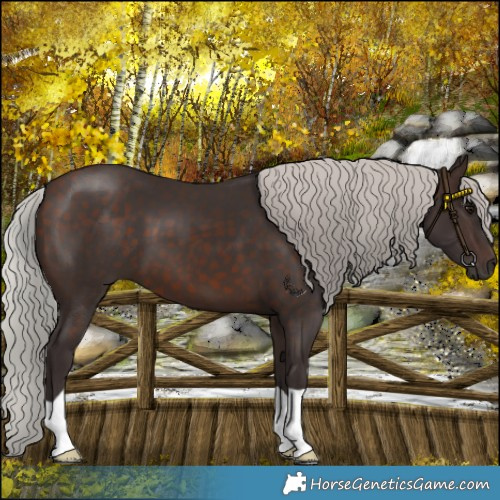 Horse Color:Silver Brown 