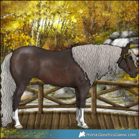 Horse Color:Silver Brown 