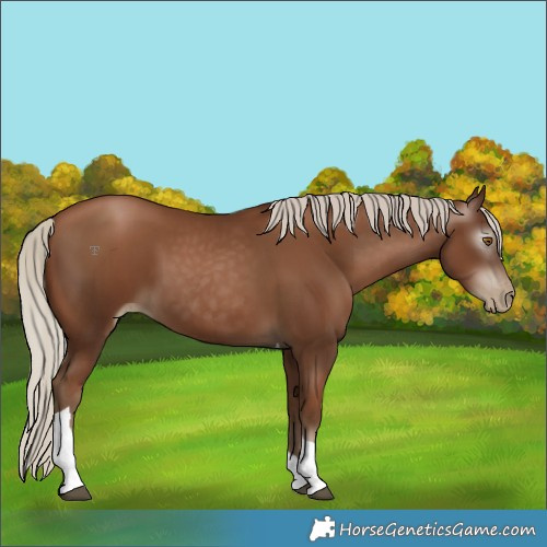 Horse Color:Gray Silver Black Pearl Tobiano