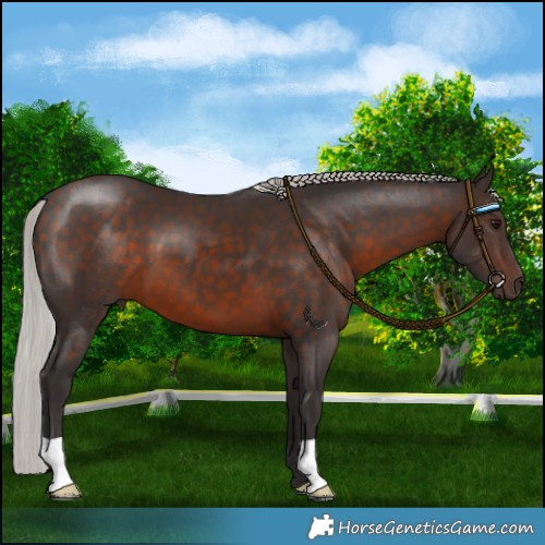 Horse Color:Silver Brown 