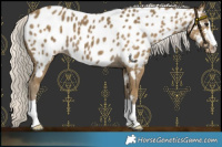 Horse Color:Silver Smoky Black Near Leopard 