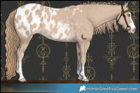 Horse Color:Smoky Creme Appaloosa 