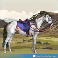 Horse Color:White Spotted Bay 