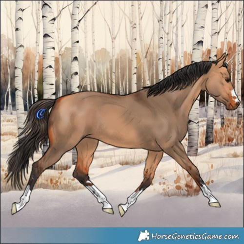 Horse Color:Bay Dun