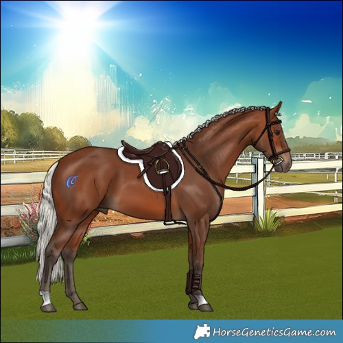 Horse Color:Silver Brown 