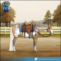 Horse Color:Silver Buckskin Frame Varnish