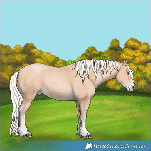 Horse Color:Silver Smoky Black Pearl 