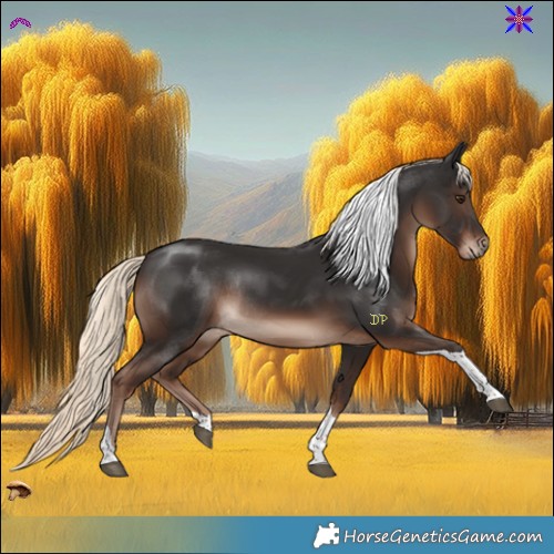 Horse Color:Liver Chestnut Mushroom Tobiano Rabicano