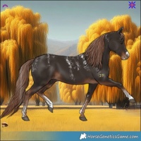 Horse Color:Powder White Liver Chestnut